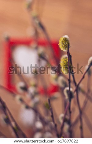 Flowering willow branches close-up with bokeh and heart shaped decoration on the background shallow depth of field toned picture