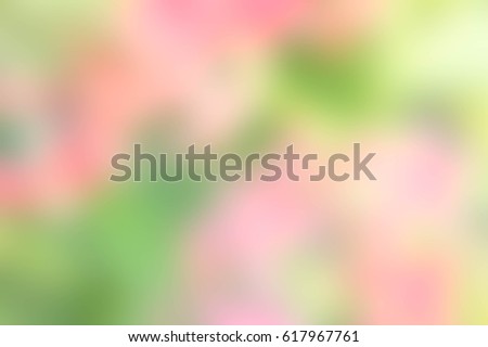 Texture blur color green and pink background nature blur pastel