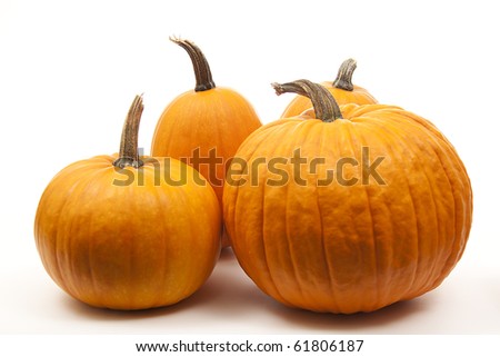 isolated orange pumpkins  for halloween decoration