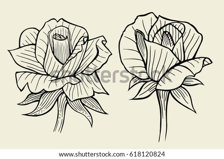 Hand drawn flower set, rose collection. Vector illustration