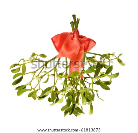 Bunch of mistletoe twigs with red ribbon isolated on white