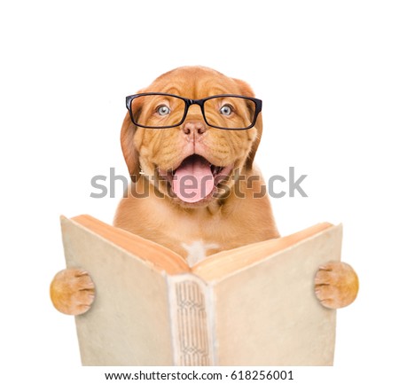 Funny puppy with open book. isolated on white background