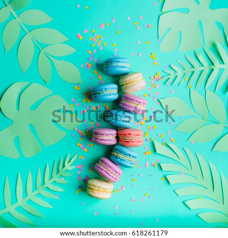 macaron dessert on a turquoise background
