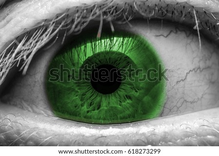 Beautiful green human eye very close-up macro photography