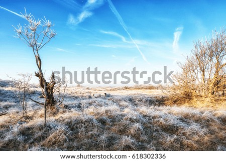 A Dutch Coastal Winter Landscape