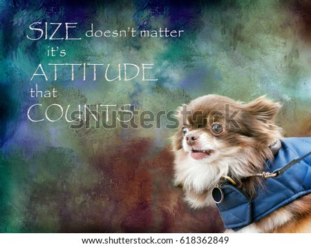 Size doesn't matter, it's attitude that counts. Motivational positive message with chihuahua dog.