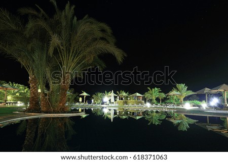 night hotel water bar palms