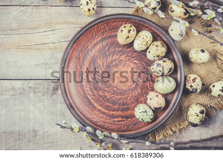 quail eggs on a beautiful spring background. Selective focus.  
