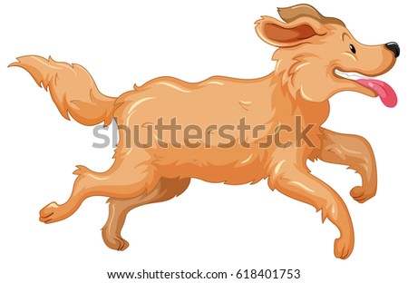 Golden retriever dog running illustration