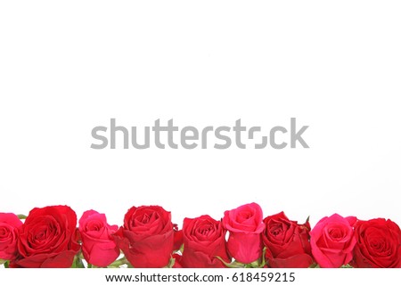 Background picture of roses