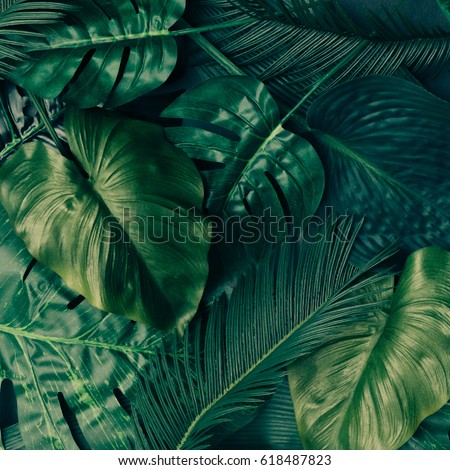 Creative tropical green leaves layout. Nature spring concept. Flat lay. Royalty-Free Stock Photo #618487823