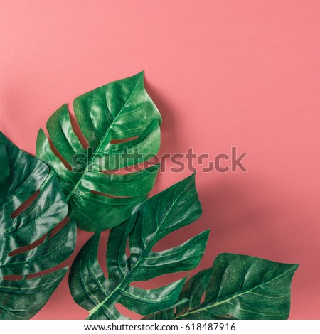Tropical palm leaves on pink background. Minimal nature summer concept. Flat lay.