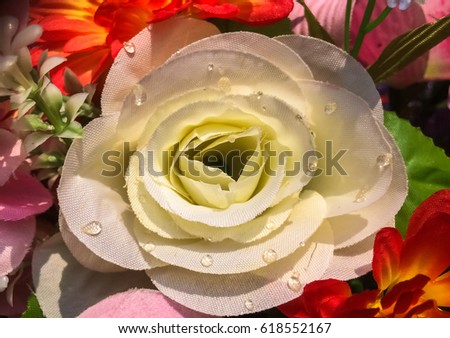 Close up photography of artificial flowers