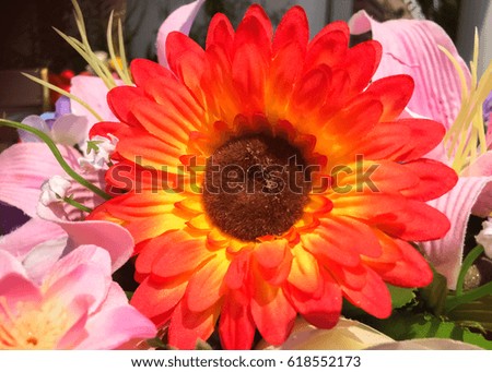 Close up photography of artificial flowers
