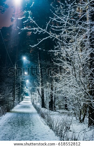 Trees covered with snow in the winter night. Empty park with the lane lit by lanterns.