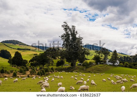 view of Green hills and valleys of the South Island, New Zealand