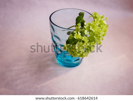 Blurred picture of green flower in blue glass