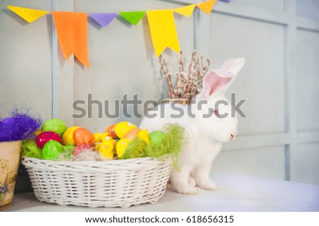 White rabbit in the Easter interior