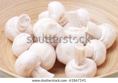 A pile of fresh and aromatic mushrooms on a wooden bowl. / Mushrooms in a bowl.