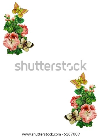 Beautiful butterflies and flowers.