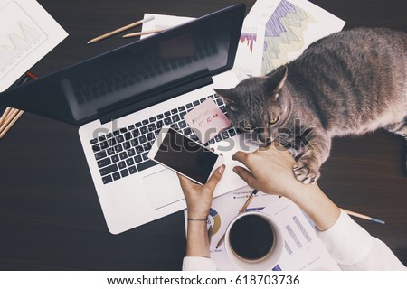 Working concept - girl with her assintant cat at the office Royalty-Free Stock Photo #618703736