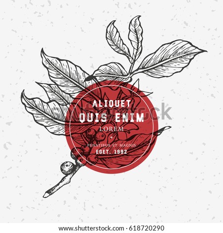 Coffee tree illustration. Engraved style illustration. Vintage coffee frame or label with typography example. Vector illustration Royalty-Free Stock Photo #618720290