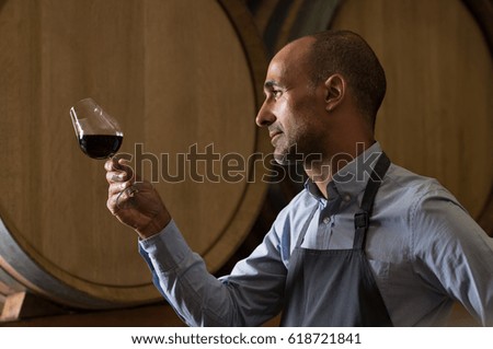 Winemaker in wine cellar holding glass of red wine and checking it. Sommelier testing wines in winery basement. Wine producer inspecting quality of red wine in front of barrels.
 Royalty-Free Stock Photo #618721841