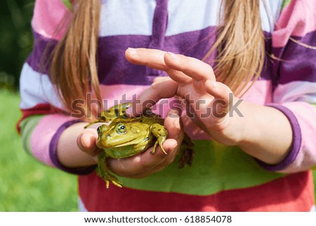Photo of a frog close up on a man's hand.