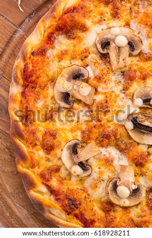 Piece of pizza with mushrooms and oregano, grated cheese and tomato sauce