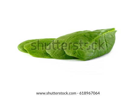 Fresh green spinach isolated on white background. Food background.