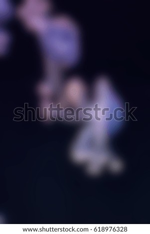 Picture blurred for background abstract Underwater photo of a group of jellyfish