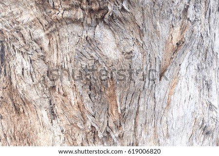 blank wood textures , wood textures , wooden background 