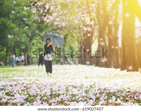 Abstract blurry background of people taking photograph and selfie with pink flowers tree in public park