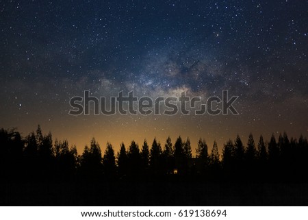 Beautiful milkyway and silhouette of pine tree on a night sky before sunrise.