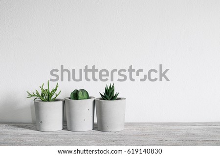 succulent in concrete pot  Royalty-Free Stock Photo #619140830