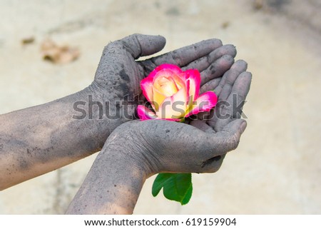 Dirty hand holding rose. Concept of contrast status of people. Flower meanings high and hand meanings low. With grain and noise filter effect. Royalty-Free Stock Photo #619159904