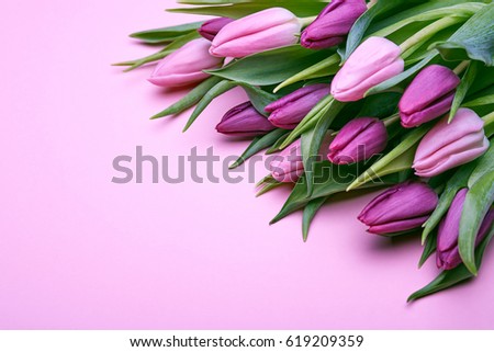 Bouquet of beautiful flowers, buds of spring tulips, flowers on a pink background, holiday items for congratulations