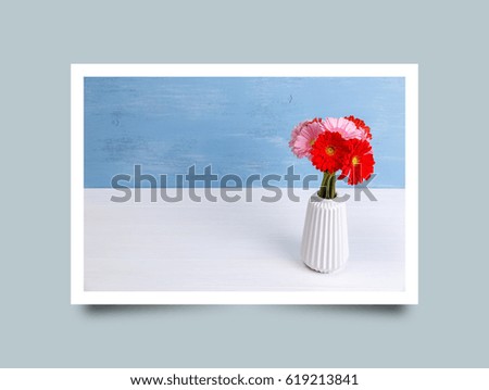 Gerbera flowers in vase on blue wood vintage background. 8 march or Valentines day love design. Fresh natural flowers. Painted wooden planks. Photo frame design with shadow.