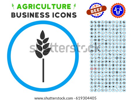 Wheat Ear rounded icon with agriculture commercial icon kit. Vector illustration style is a flat iconic symbol inside a circle, blue and gray colors. Designed for web and software interfaces.