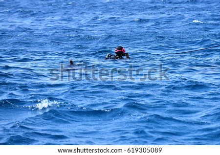Snorkeling diver or man equipped with diving masks swimming in wavy sea or ocean water on sunny day on blue background. Idyllic summer vacation. Sport, hobby
