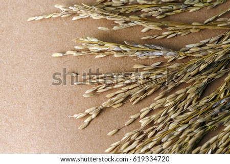 Ears of rice on wood background