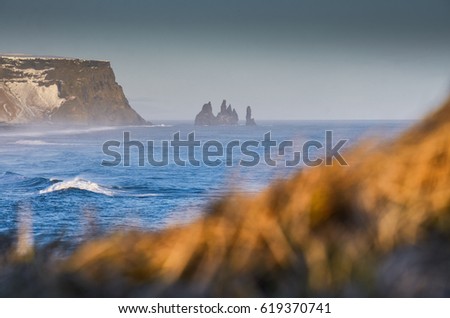 Colorful sunset on coastline of Reynisfjara black beach Iceland - with grey and yellow grass, Iceland, Vik