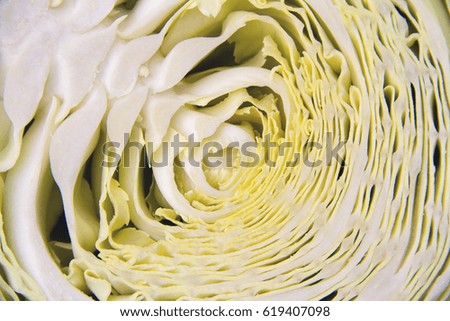  Half sliced fresh raw cabbage with wavy leaves, horizontal picture