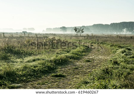 Rural landscape with path and fog