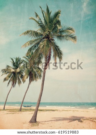 Coconut tree on the sky background-  - retro styled picture