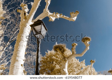Retro-style street lamp and trees in infrared view, Strasbourg