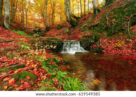 colorful autumn sunrise  landscape with waterfall in the Thailand forest, beautiful Asia sunrise landscape, Thailand travel, wonderful world
