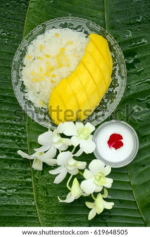 Thai dessert. Sweet mango with sweet sticky rice and coconut milk for topping served on fresh banana leaves decoration with white Thai's orchids.
