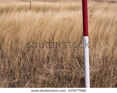 White Red Pole in The Lawn Dry