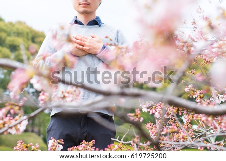 Man and cherry blossoms